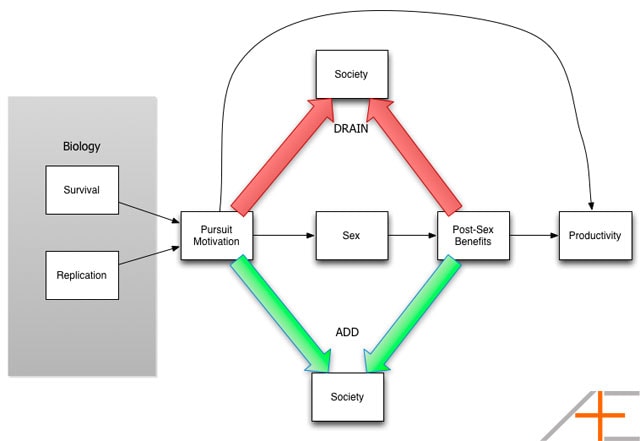 Process Of Intercourse With Diagram 49