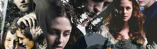 Love, Relationships and Twilight