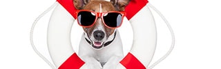 Task Management Rescue