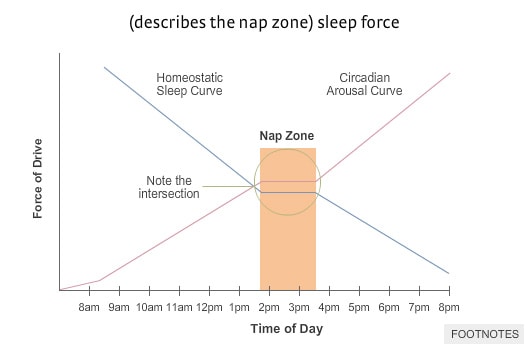Our alertness in the afternoon is the lowest, so that's the best time to take a nap. Credit: Brain Rules.