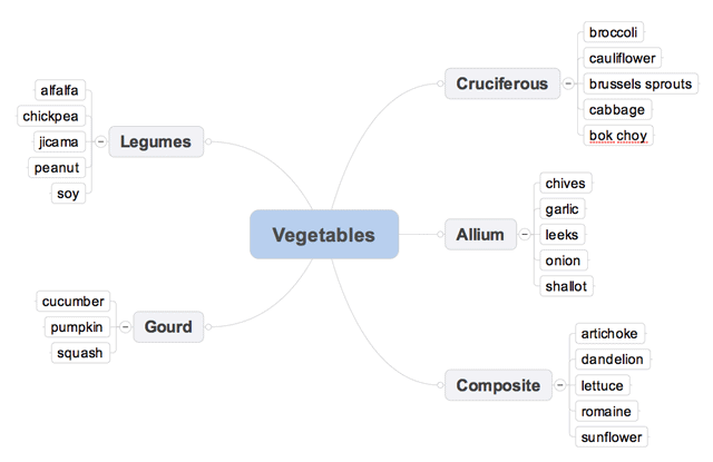 Mind Mapping Straight Mindmap