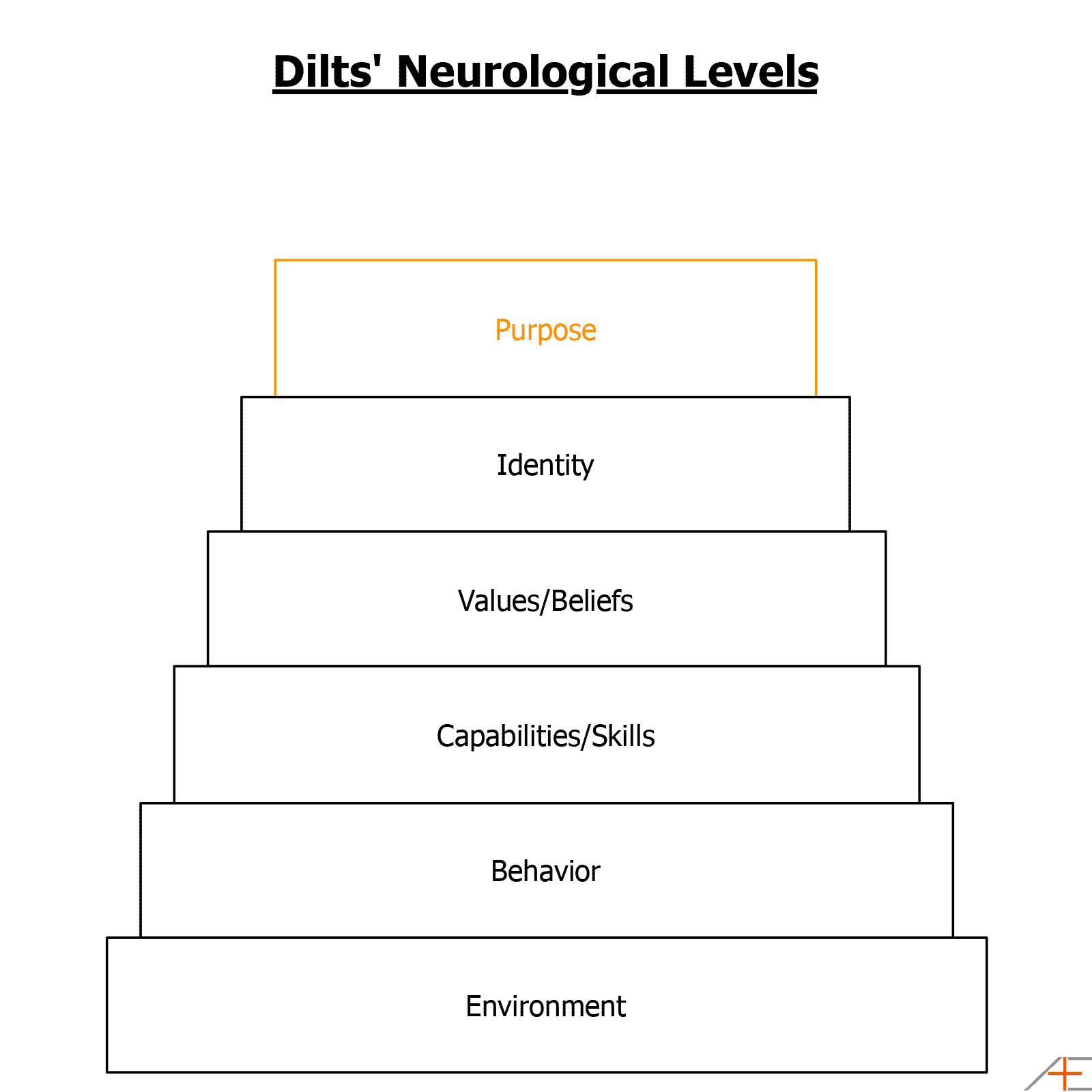 dilts-neurological-levels