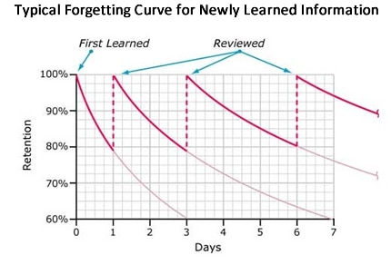 Typical Forgetting Curve