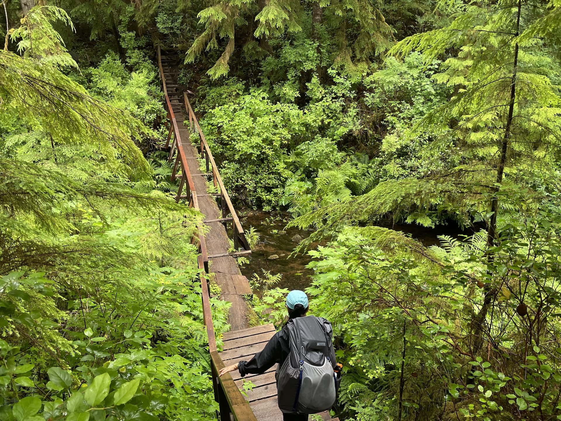 Crossing a log bridge